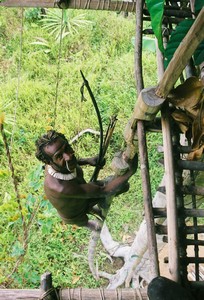 Papua-Kombai-kmen stromových lidí